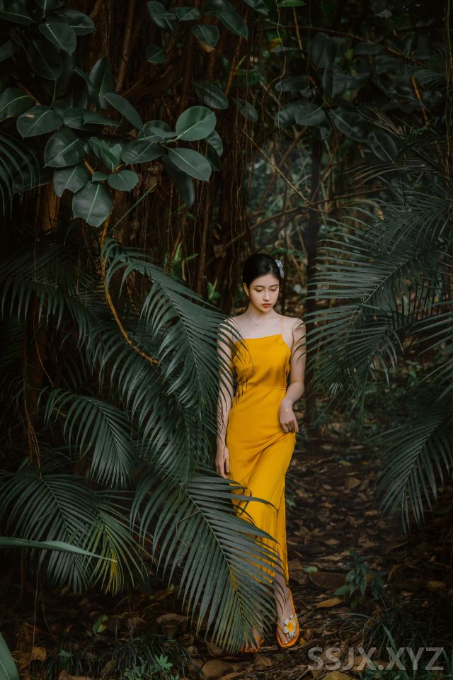 [36P/96M][图包]年年 – 蒹葭